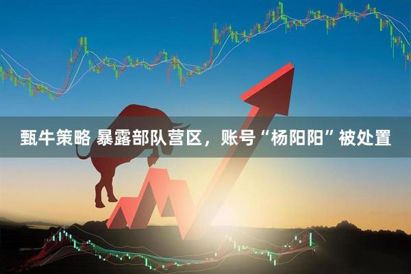 甄牛策略 暴露部队营区，账号“杨阳阳”被处置