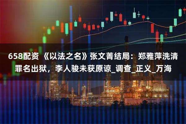 658配资 《以法之名》张文菁结局：郑雅萍洗清罪名出狱，李人骏未获原谅_调查_正义_万海